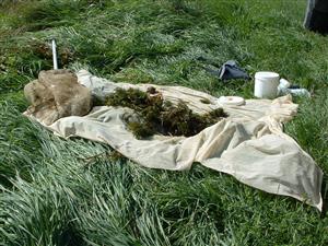 TML, zber materiálu